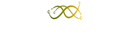 Master AI With Me 